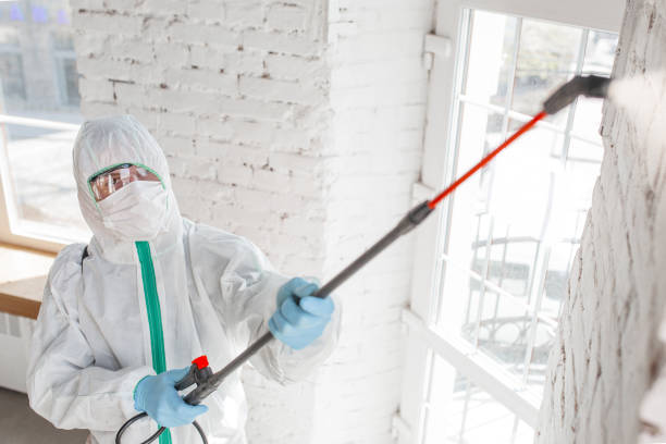 Best Commercial Mold Inspection  in Point Clear, AL